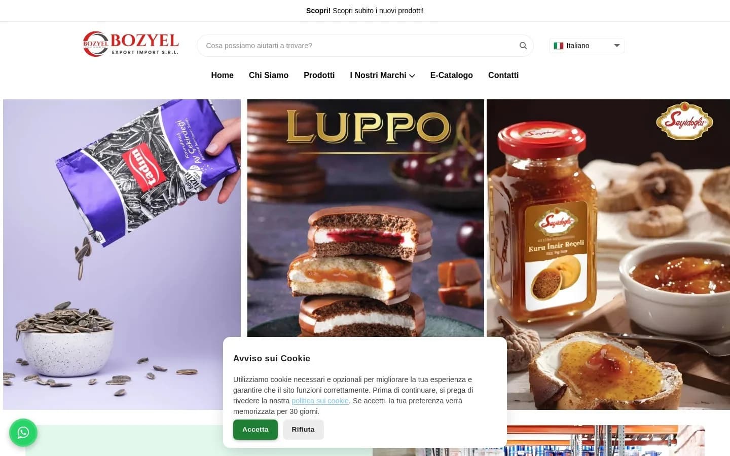 BOZYEL EXPORT IMPORT S.R.L. – Ana sayfa – masaüstü görünüm